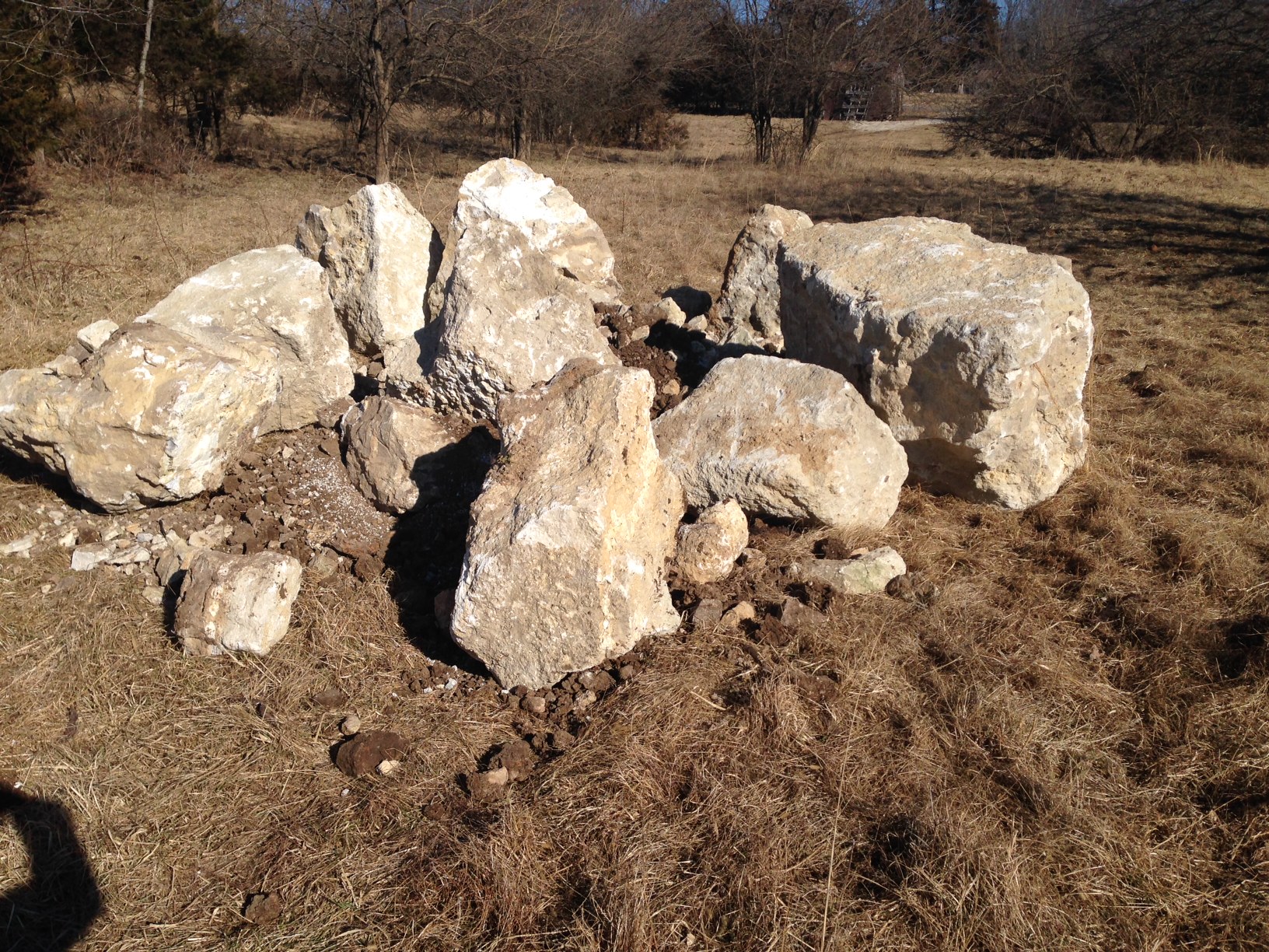 Attached picture pond rocks for structure.JPG
